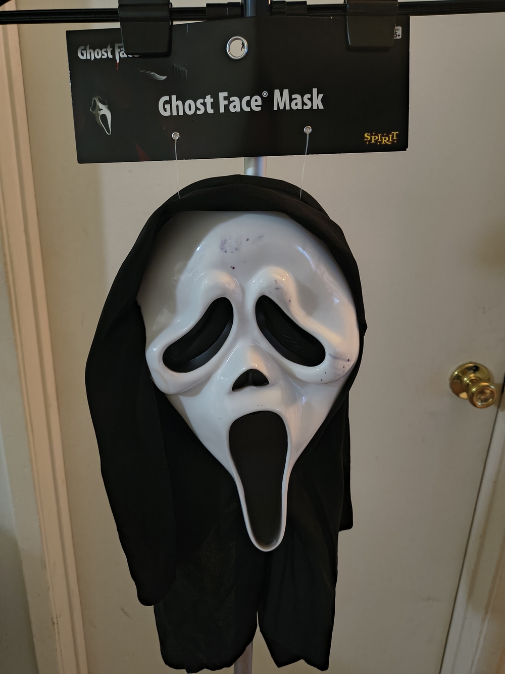 Spirit Ghost Face Kids Costume Mask - White/Black